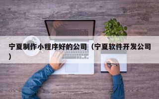 九江宁夏制作小程序好的公司（宁夏软件开发公司）